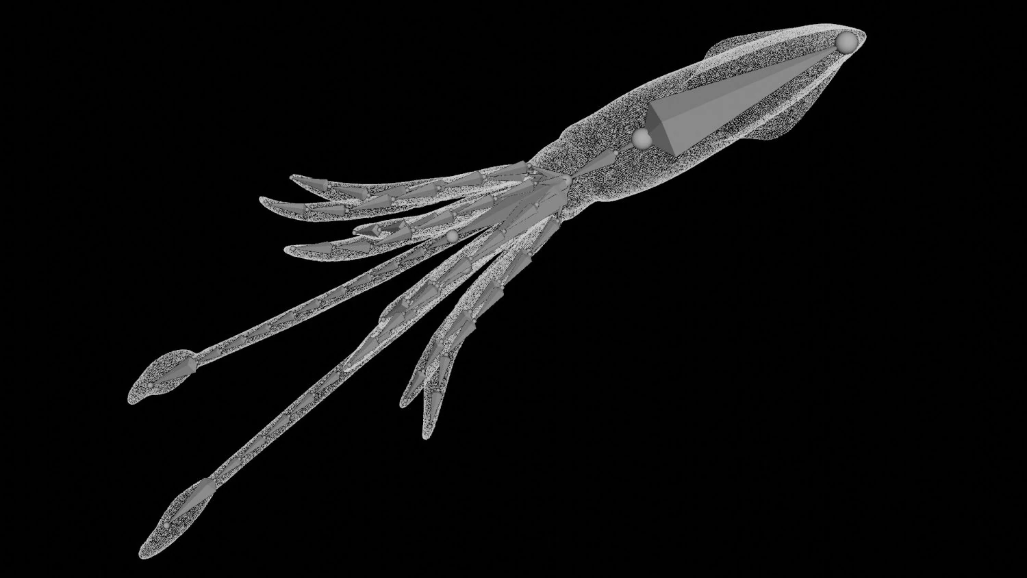 squid octopus fish 3D Model .c4d .max .obj .3ds .fbx .stl .blend 