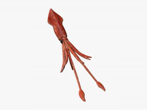 squid octopus fish 3D Model