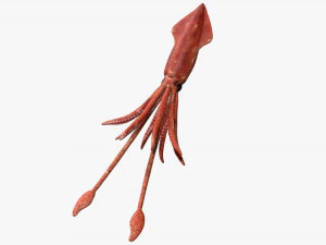 squid octopus fish 3D Model
