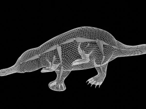 ornitorinco truccato Modello 3D