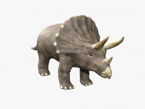 triceratops rigged 3D Model