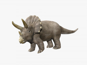 triceratops rigged 3D Model
