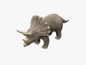 triceratops rigged 3D Model