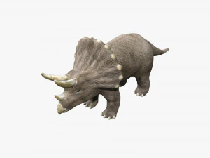 triceratops rigged 3D Model