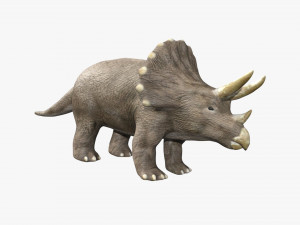 triceratops rigged 3D Model