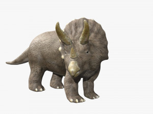 triceratops rigged 3D Model