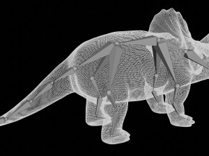 triceratops rigged 3D Model
