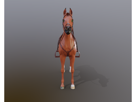 Arabian stallion under saddle 3D Model