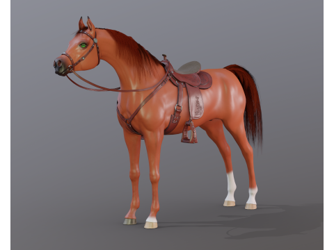 Arabian stallion under saddle 3D Model