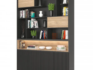 rack and bookcase 02 3D Model