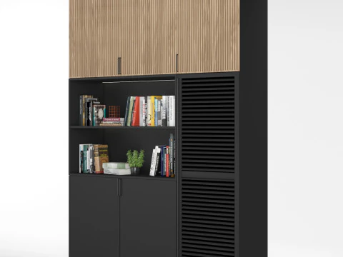 Cabinet with shelves 07 3D Model