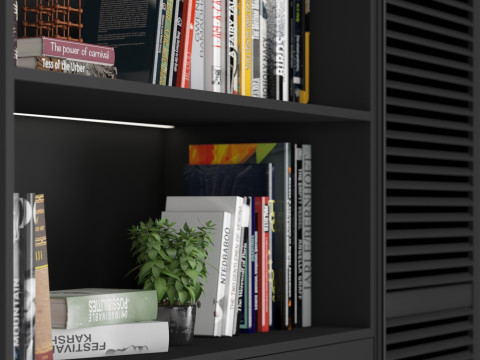 Cabinet with shelves 07 3D Модель