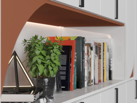 Cabinet with shelves 08 3D Model