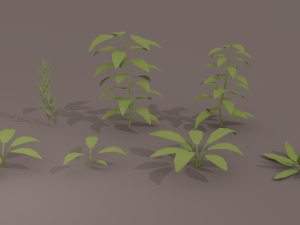 plants low poly pack 3D Model