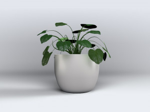 inside home plant 3D Model