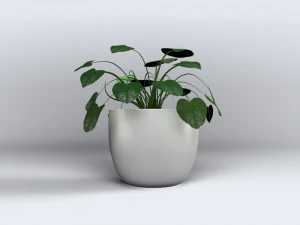 inside home plant 3D Model