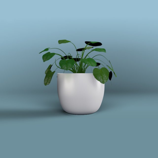 inside home plant 3D Model .c4d .max .obj .3ds .fbx .stl .blend 