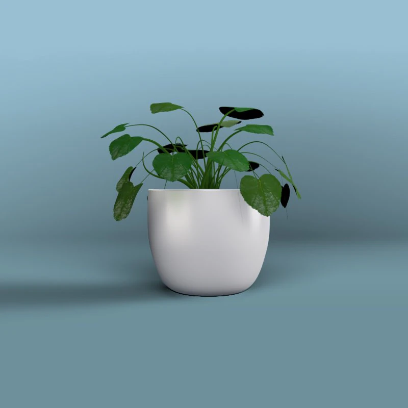 inside home plant 3D Model .c4d .max .obj .3ds .fbx .stl .blend 