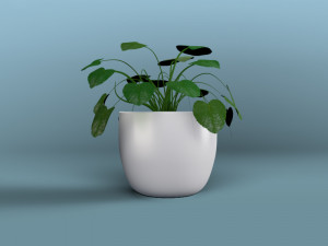 inside home plant Modelo 3D