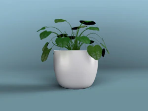 inside home plant 3D Model
