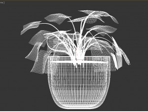 inside home plant 3D Model