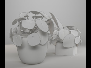 interior small plant of pilea peperomioides Model 3D