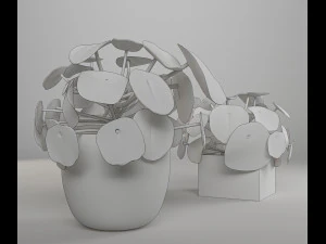 interior small plant of pilea peperomioides 3D Model