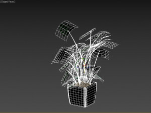 monstera-swiss cheese plant 3D मॉडल