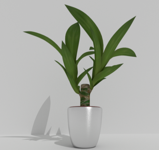plant Model 3D .c4d .max .obj .3ds .fbx .stl .blend 