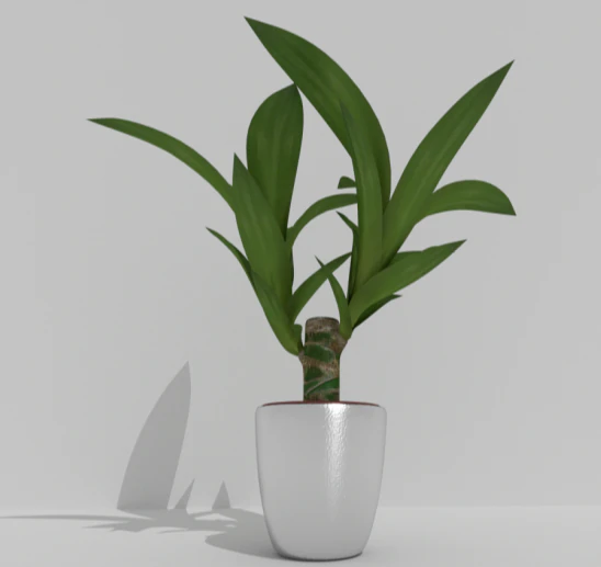 plant 3D Model .c4d .max .obj .3ds .fbx .stl .blend 