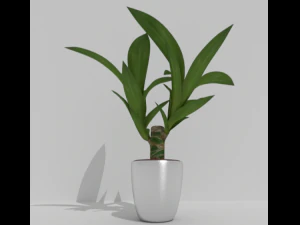 растение 3D Модель