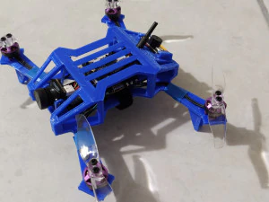 skeleton fpv bd 3D Print Model