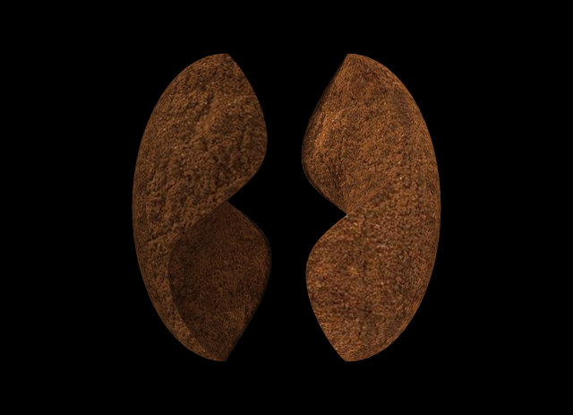 coffee beans 3Dモデル .c4d .max .obj .3ds .fbx .stl .blend 