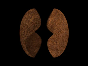 grãos de café Modelo 3D