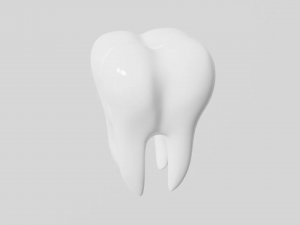 tooth Modello di stampa 3D