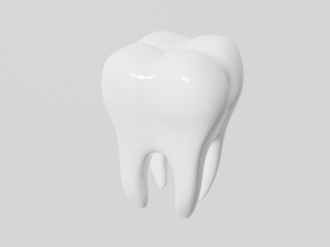 tooth 3D-Druckmodell
