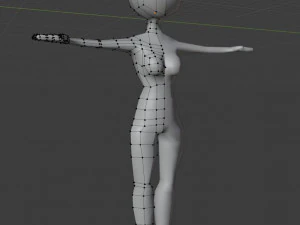 temel insan dişi 3D Baskı Modeli