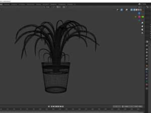 potted flower Modello 3D