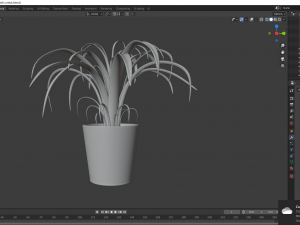 potted flower Modello 3D