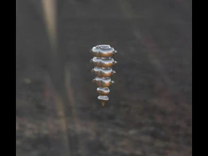 रैटलस्नेक पेंडेंट 3डी प्रिंट मॉडल 3D प्रिंट मॉडल