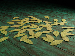 dried bay leaf 3D मॉडल