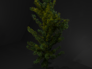 wood Modello 3D