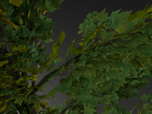 wood Modèle 3D