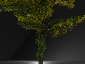 wood Modèle 3D