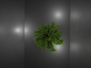 wood Modèle 3D