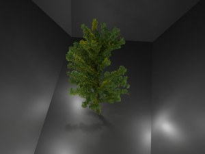 wood Modèle 3D