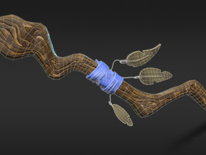 stylized staff low-poly low-poly Model 3D