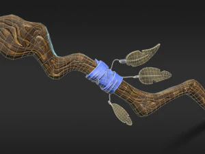 stylized staff low-poly low-poly 3D Model