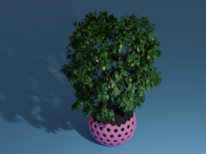 tree in pot 3D Model