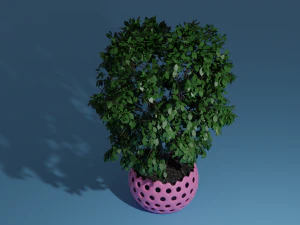 tree in pot 3D Model